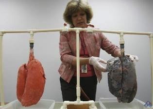 Иллюстрация к книге — Жизнь. Инструкция по устройству, эксплуатации, ремонту и мерам безопасности [i_005.jpg]