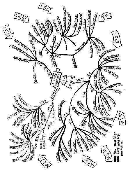 Иллюстрация к книге — Супермышление [pic_27.jpg]