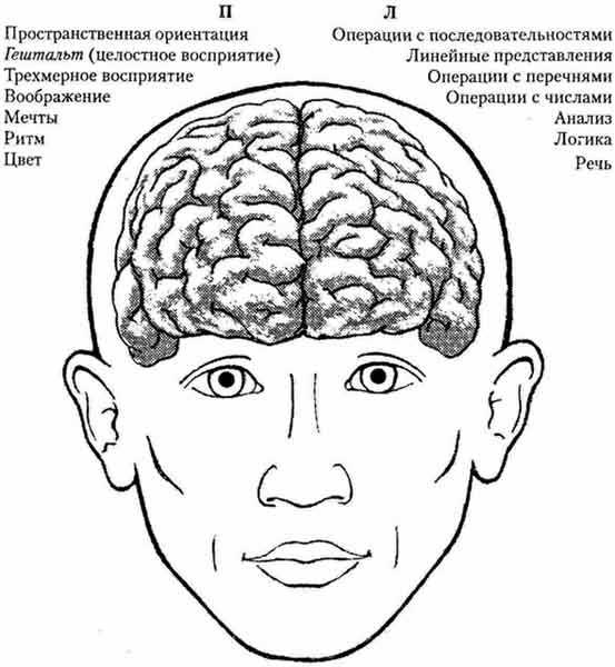 Иллюстрация к книге — Супермышление [pict_2.jpg]