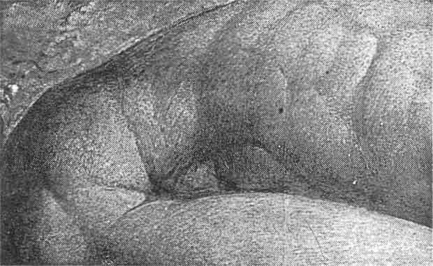 Иллюстрация к книге — Супермышление [sign_o.jpg]