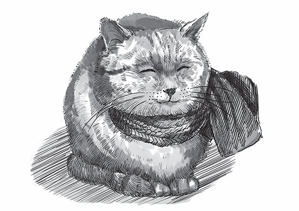 Иллюстрация к книге — Кот Боб. Во имя любви [i_001.jpg]