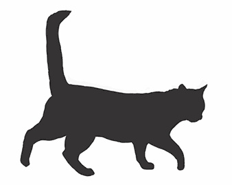 Иллюстрация к книге — Кот Боб. Во имя любви [i_002.jpg]