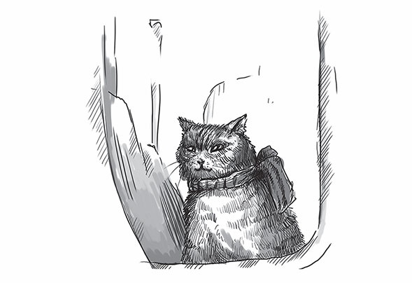 Иллюстрация к книге — Кот Боб. Во имя любви [i_003.jpg]