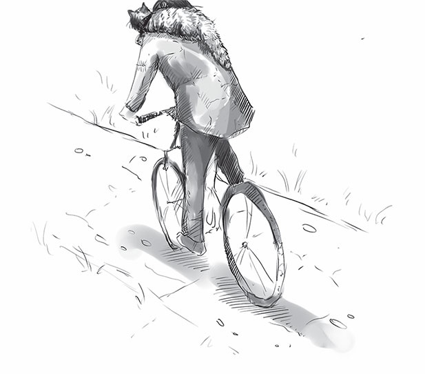 Иллюстрация к книге — Кот Боб. Во имя любви [i_008.jpg]