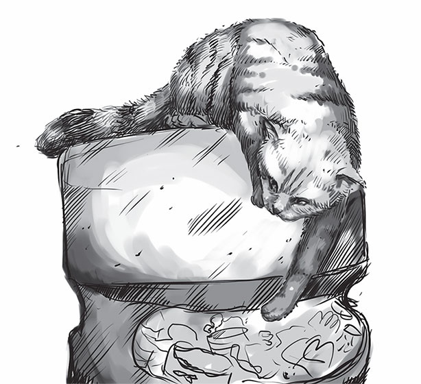 Иллюстрация к книге — Кот Боб. Во имя любви [i_009.jpg]