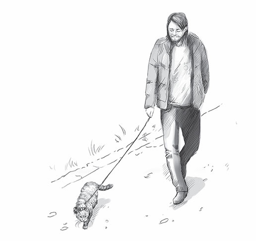 Иллюстрация к книге — Кот Боб. Во имя любви [i_011.jpg]