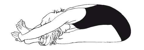 Иллюстрация к книге — Научная йога. Демистификация [Autogen_eBook_id13.jpg]