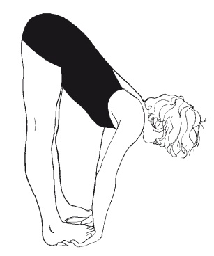 Иллюстрация к книге — Научная йога. Демистификация [Autogen_eBook_id7.jpg]