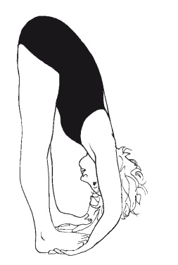 Иллюстрация к книге — Научная йога. Демистификация [Autogen_eBook_id8.jpg]