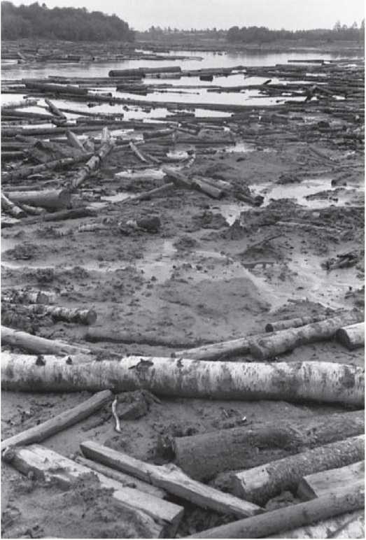 Иллюстрация к книге — Страх, или Жизнь в Стране Советов [i_022.jpg]