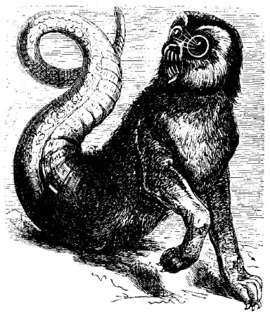 Иллюстрация к книге — Сумеречные рассказы [i_010.jpg]