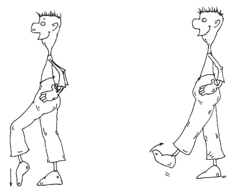 Иллюстрация к книге — Большая книга о новой жизни, которую никогда не поздно начать [_056.jpg]