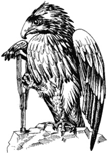 Иллюстрация к книге — Большая книга о новой жизни, которую никогда не поздно начать [_117.jpg]