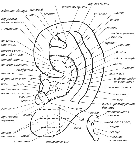 Иллюстрация к книге — Большая книга о новой жизни, которую никогда не поздно начать [_153.jpg]