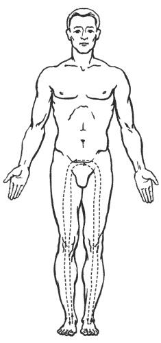 Иллюстрация к книге — Большая книга о новой жизни, которую никогда не поздно начать [_155.jpg]