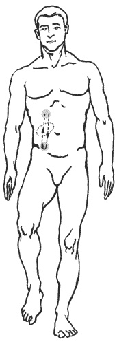 Иллюстрация к книге — Большая книга о новой жизни, которую никогда не поздно начать [_158.jpg]