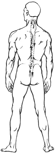 Иллюстрация к книге — Большая книга о новой жизни, которую никогда не поздно начать [_163.jpg]