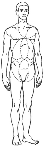 Иллюстрация к книге — Большая книга о новой жизни, которую никогда не поздно начать [_165.jpg]