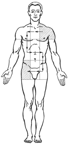 Иллюстрация к книге — Большая книга о новой жизни, которую никогда не поздно начать [_168.jpg]