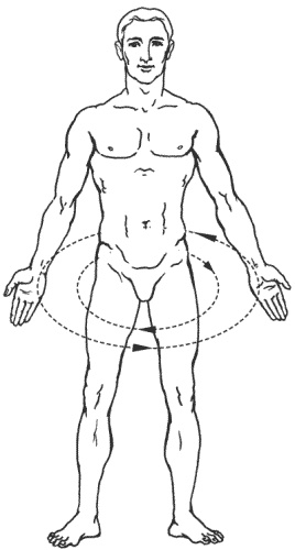 Иллюстрация к книге — Большая книга о новой жизни, которую никогда не поздно начать [_175.jpg]