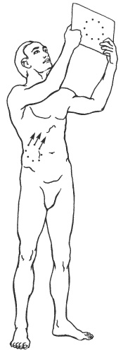 Иллюстрация к книге — Большая книга о новой жизни, которую никогда не поздно начать [_184.jpg]