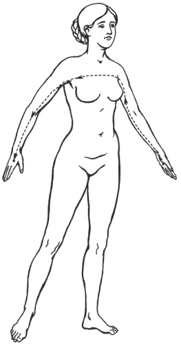 Иллюстрация к книге — Большая книга о новой жизни, которую никогда не поздно начать [_197.jpg]