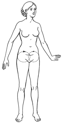 Иллюстрация к книге — Большая книга о новой жизни, которую никогда не поздно начать [_200.jpg]