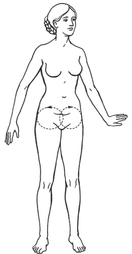 Иллюстрация к книге — Большая книга о новой жизни, которую никогда не поздно начать [_201.jpg]