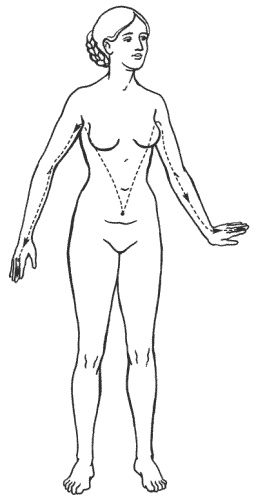 Иллюстрация к книге — Большая книга о новой жизни, которую никогда не поздно начать [_202.jpg]