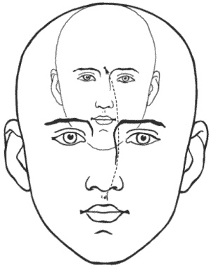 Иллюстрация к книге — Большая книга о новой жизни, которую никогда не поздно начать [_204.jpg]