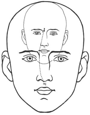 Иллюстрация к книге — Большая книга о новой жизни, которую никогда не поздно начать [_205.jpg]