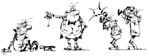 Иллюстрация к книге — Большая книга о новой жизни, которую никогда не поздно начать [_213.jpg]