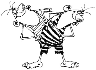 Иллюстрация к книге — Большая книга о новой жизни, которую никогда не поздно начать [_230.jpg]