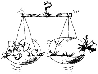 Иллюстрация к книге — Большая книга о новой жизни, которую никогда не поздно начать [_256.jpg]