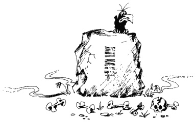 Иллюстрация к книге — Большая книга о новой жизни, которую никогда не поздно начать [_270.jpg]