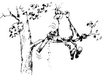 Иллюстрация к книге — Большая книга о новой жизни, которую никогда не поздно начать [_278.jpg]