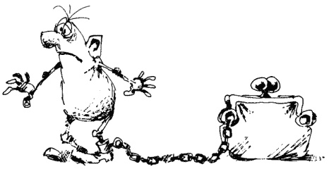 Иллюстрация к книге — Большая книга о новой жизни, которую никогда не поздно начать [_304.jpg]