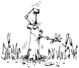 Иллюстрация к книге — Большая книга о новой жизни, которую никогда не поздно начать [_305.jpg]