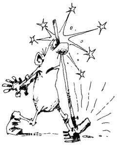 Иллюстрация к книге — Большая книга о новой жизни, которую никогда не поздно начать [_306.jpg]