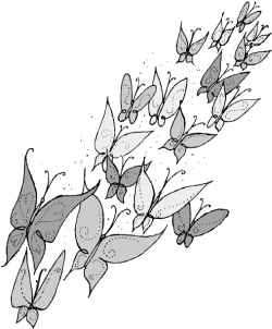 Иллюстрация к книге — Правила звезды. Как блистать во всех сферах жизни [Autogen_eBook_id8.jpg]