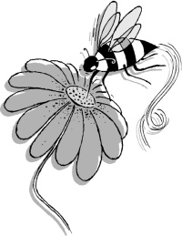 Иллюстрация к книге — Правила звезды. Как блистать во всех сферах жизни [Autogen_eBook_id9.jpg]