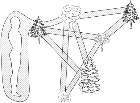 Иллюстрация к книге — Сила стихий в твоих руках. От человека до эгрегора [Autogen_eBook_id23.jpg]