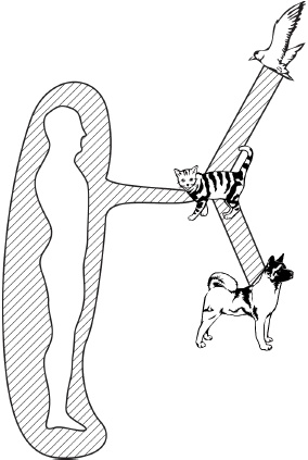 Иллюстрация к книге — Сила стихий в твоих руках. От человека до эгрегора [Autogen_eBook_id27.jpg]