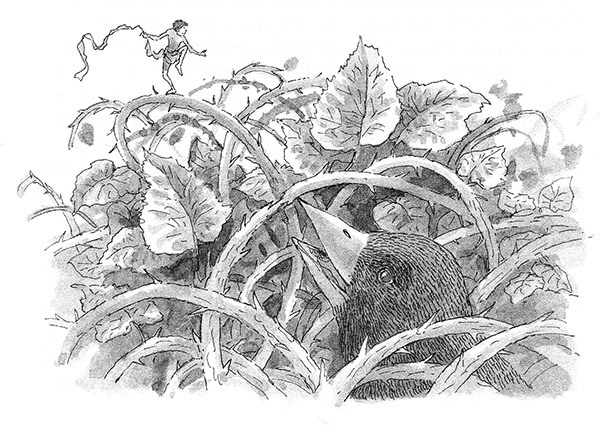 Иллюстрация к книге — Тоби Лолнесс. Книга 2. Глаза Элизы [i_012.jpg]