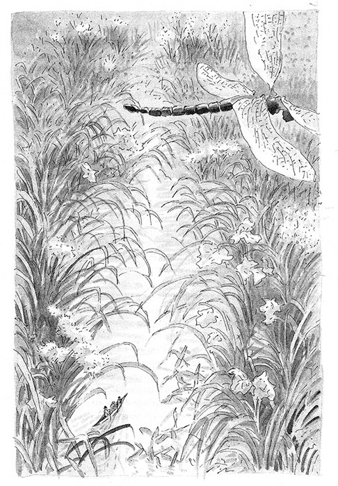 Иллюстрация к книге — Тоби Лолнесс. Книга 2. Глаза Элизы [i_013.jpg]