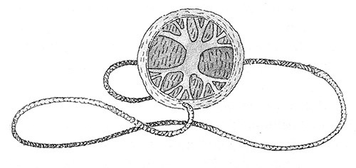 Иллюстрация к книге — Тоби Лолнесс. Книга 2. Глаза Элизы [i_014.jpg]