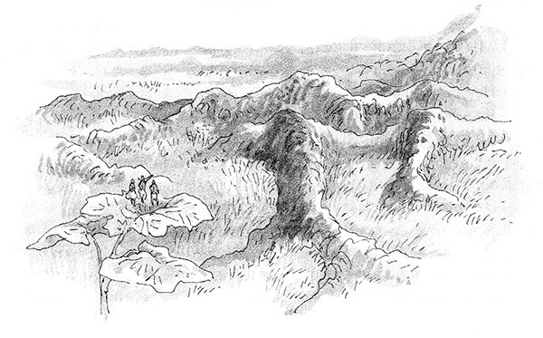 Иллюстрация к книге — Тоби Лолнесс. Книга 2. Глаза Элизы [i_015.jpg]