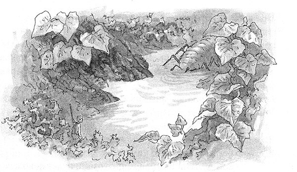 Иллюстрация к книге — Тоби Лолнесс. Книга 2. Глаза Элизы [i_016.jpg]