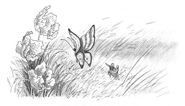 Иллюстрация к книге — Тоби Лолнесс. Книга 2. Глаза Элизы [i_068.jpg]