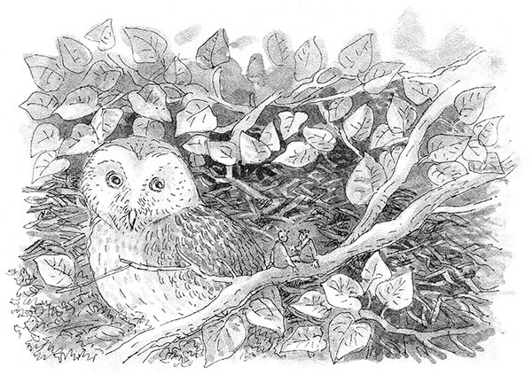 Иллюстрация к книге — Тоби Лолнесс. Книга 2. Глаза Элизы [i_100.jpg]